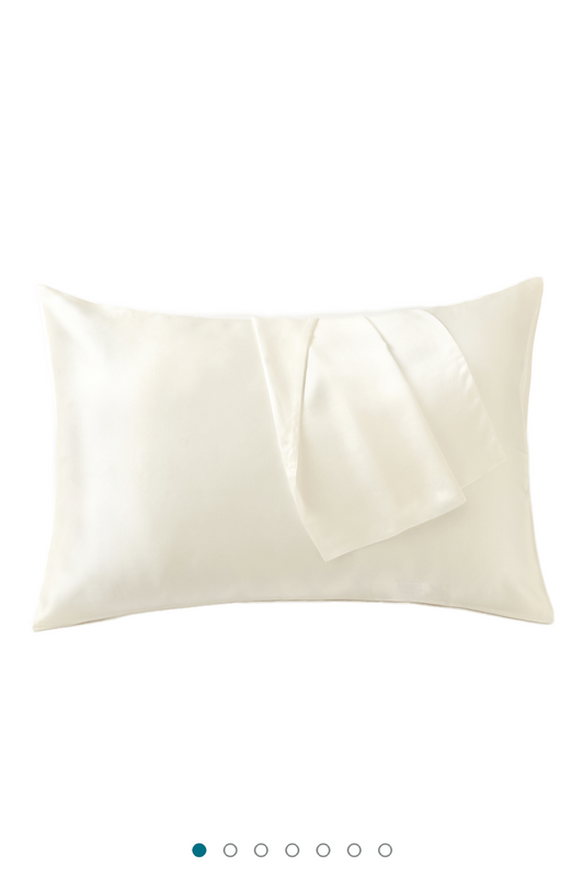 10色 シルク枕カバー 天然シルク100% 両面 最高級6A 洗える OEKO-TEX認証 19匁 43x63cm 封筒型 coconem